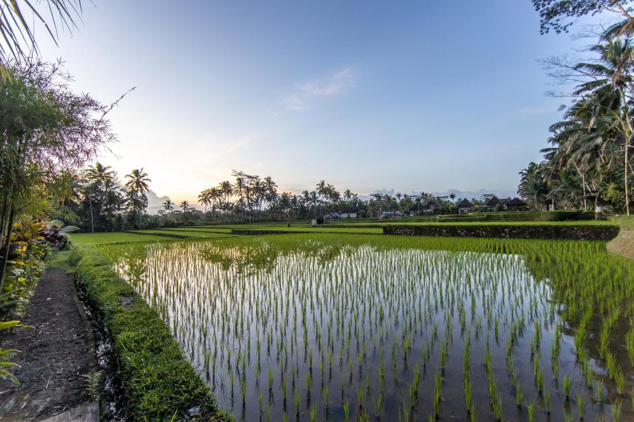Villa Natha Ubud  Exterior photo