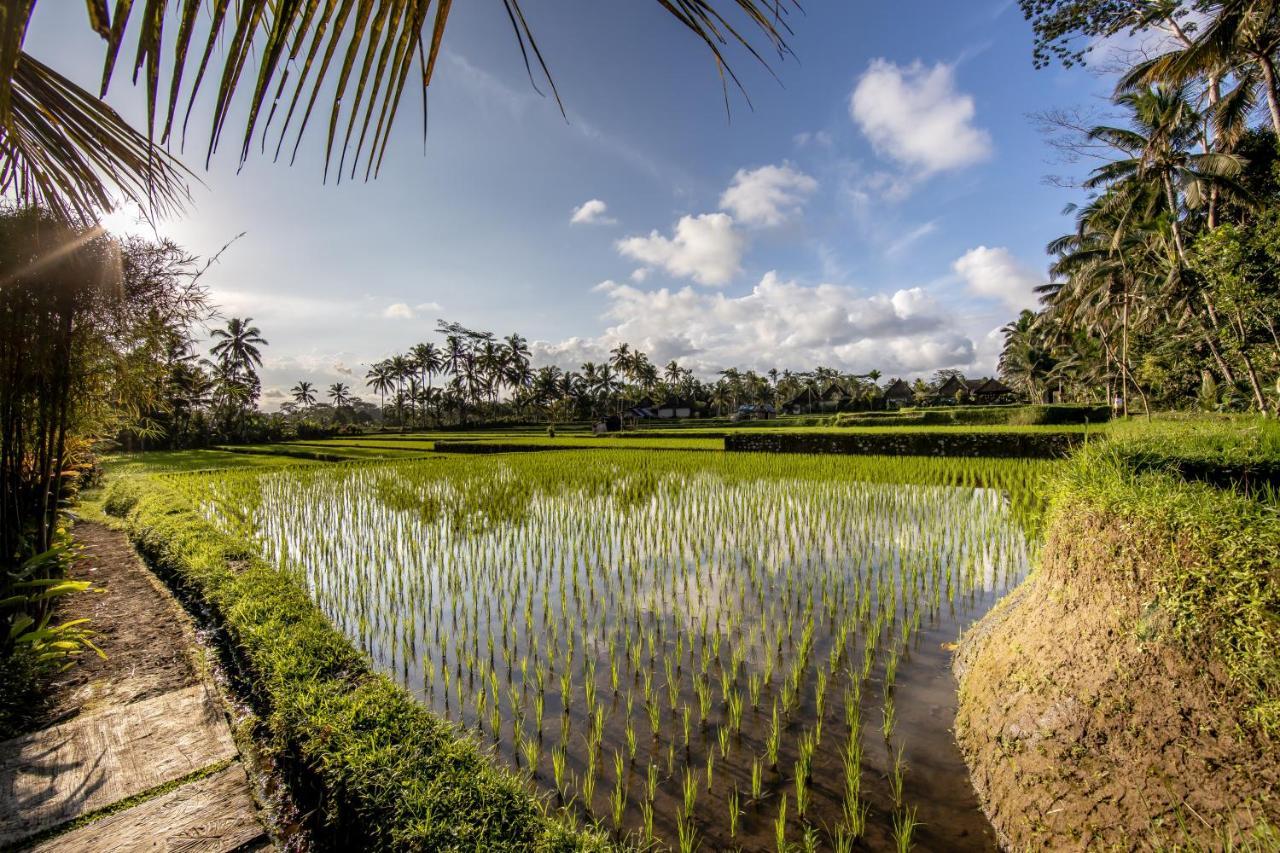 Villa Natha Ubud  Exterior photo